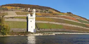 Mauseturm, Bingen, Upper Middle Rhine Valley