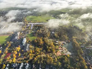 Maximilian Park in morning fog