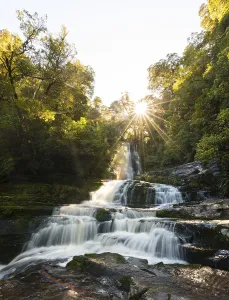 McLean waterfall, Sun Star, The Catlins