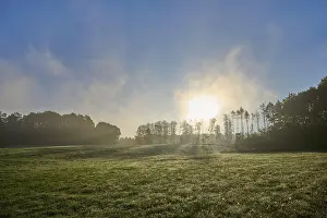 Meadow landscape, forest, sky, clouds