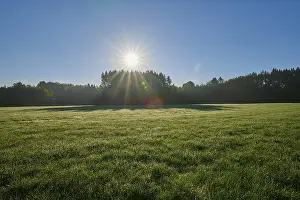 Meadow landscape, forest, sky, sunrise