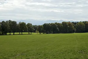 Empty meadow surface, Ilkahoehe
