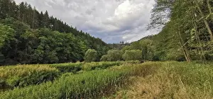 Meadows and forests stretch under a sky full of clouds