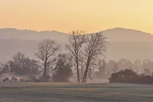Meadows and trees in the early morning mist in the light of the rising sun