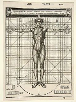 Medicine, Anatomy, the human body in its proportions