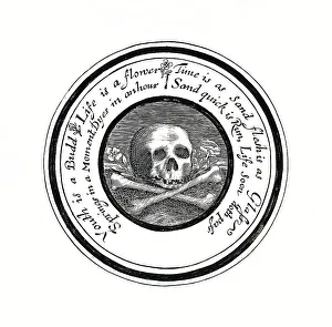 Medicine, anatomy, skull, human skull