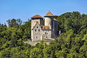 A medieval castle with two towers on a wooded hill under a blue sky