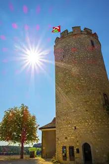 Medieval Old City Square with Castle Tower and a Tree with Sunbeam