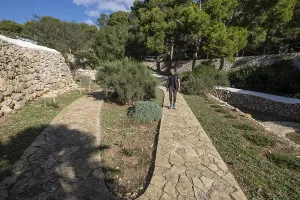 Mediterranean garden of native plants