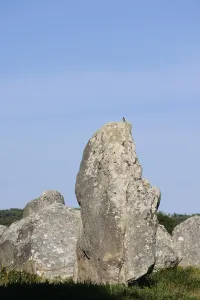 Megalithe, Alignements du Menec
