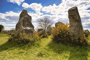 Megalithic stone rows from Kerzerho