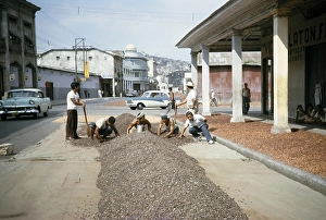 Men drying cocoa beans on the street, Guayaquil, Guayas province, Ecuador, South America 1962, South America
