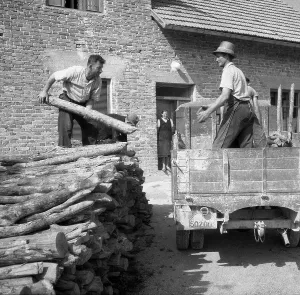 Men load logs onto a wagon, ca