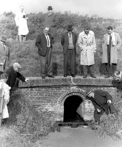 Men looking for something in a creek
