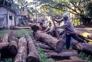 Men shifting wooden log for sawing at Kozhikode Calicut
