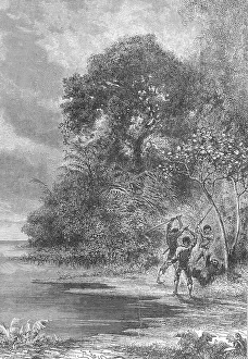 Three men slay an Ai, sloth, 1869