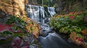 Middle Falls, Fall Waterfall, McCloud River