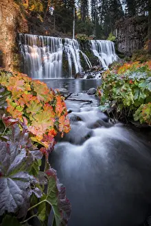 Middle Falls, Fall Waterfall, McCloud River