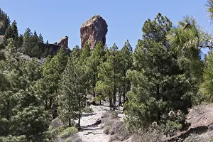 Mighty basalt rock Roque Nublo