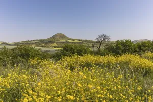 Mila mountain (nature conservancy area in Rana u Loun)