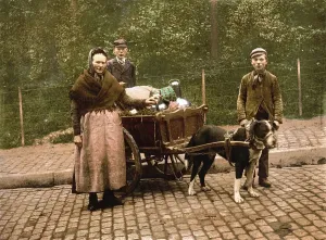 Milk seller, Brussels, Belgium