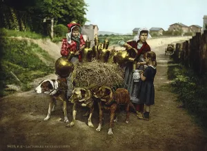 Milk seller with a cart pulled by dogs