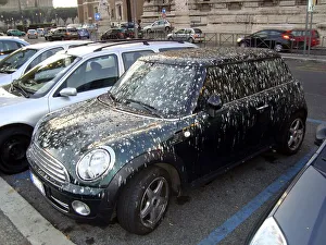Mini dirtied by birds, ca. 2005 Surroundings of Leipzig