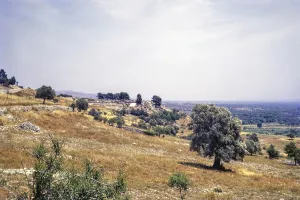 Minoan palace archaeological site, Phaistos, Crete, Greece, Europe 1972, Europe