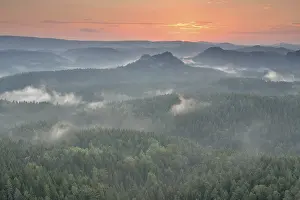 Mist rising from the forest, in the morning