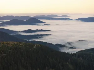 Misty mountains and forests at dawn