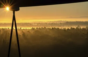 Misty whale in the sunrise, Schonbuchturm