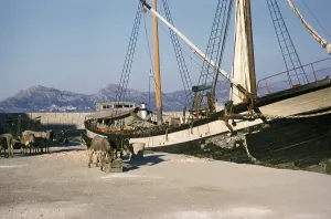Mit Maultieren beladenes hoelzernes Segelschiff im Hafen von Calvi, Korsika, Frankreich, Ende der 1950er Jahre