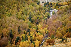Mixed deciduous forest, Molieres valley