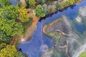 Mixed forest in autumn, colouring