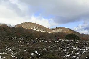 Mixed forest and heathlands at Silvestri Crater