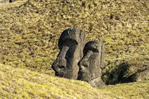 Two moai stone figures half buried in the grass slope