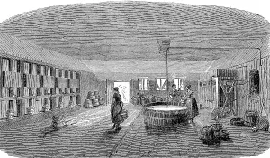 Model farm in Zealand in 1896, cheese cellar