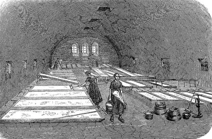 Model farm in Zealand in 1896, milk cellar