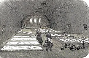 Model farm in Zealand in 1896, milk cellar