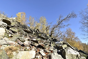 The Moerschieder Burr mountain in the Hunsrueck-Hochwald National Park in autumn with the boulder dumps called
