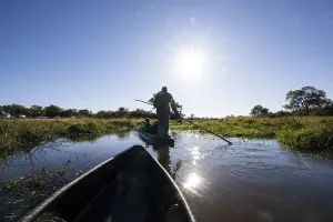 Mokoro, dugout canoe with staker in the Okavango Delta
