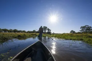 Mokoro, dugout canoe with staker in the Okavango Delta