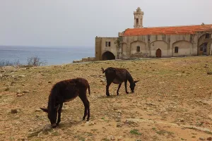 The Monastery of St Andrew on the Karpaz Peninsula