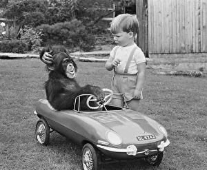Monkey and boy with toy car, England