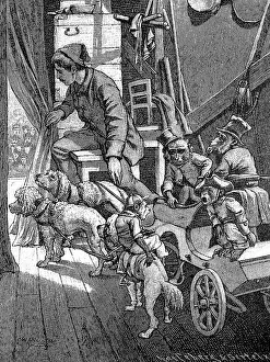 In the monkey theatre, theatre