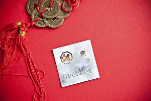 Monkey zodiac card with Chinese character on a red background with coins