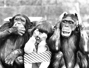 Two monkeys with child, see nothing