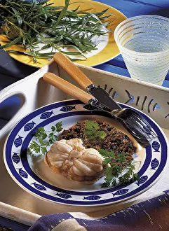 Monkfish in wine sauce, France, Europe