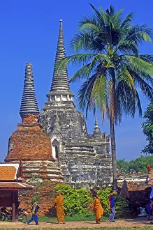 Monks, chedis, palm tree at Wat Phra Si Sanphet
