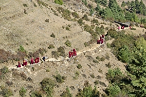 Category Buddhism Prints: Monks and nuns wearing red cloths walking on a small path along a mountain slope